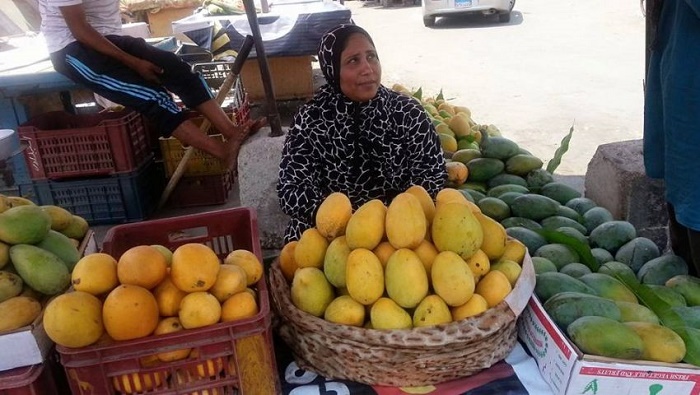 صور| «المانجو» معشوقة الجماهير تزين الأسواق.. و67% زيادة في أسعارها
