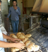 في مديح الطابونة.. لو أنّ لصاحبها ضمير