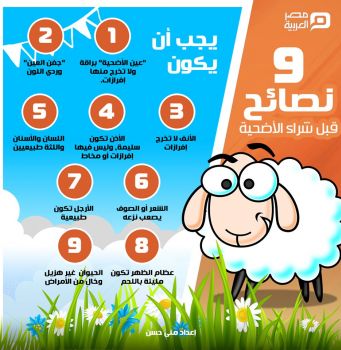 9 نصائح قبل شراء الأضحية