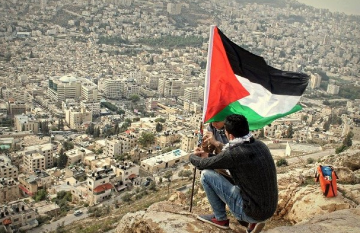 الحلقة المفقودة في القضية الفلسطينية ! الحلقة المفقودة في القضية الفلسطينية !