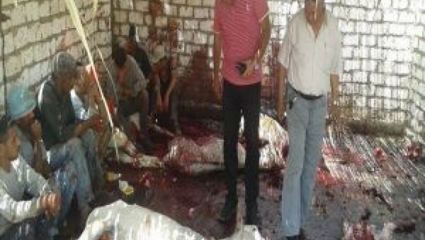 حقيقة العثور على لحوم حمير بمطعم شهير ببورسعيد 