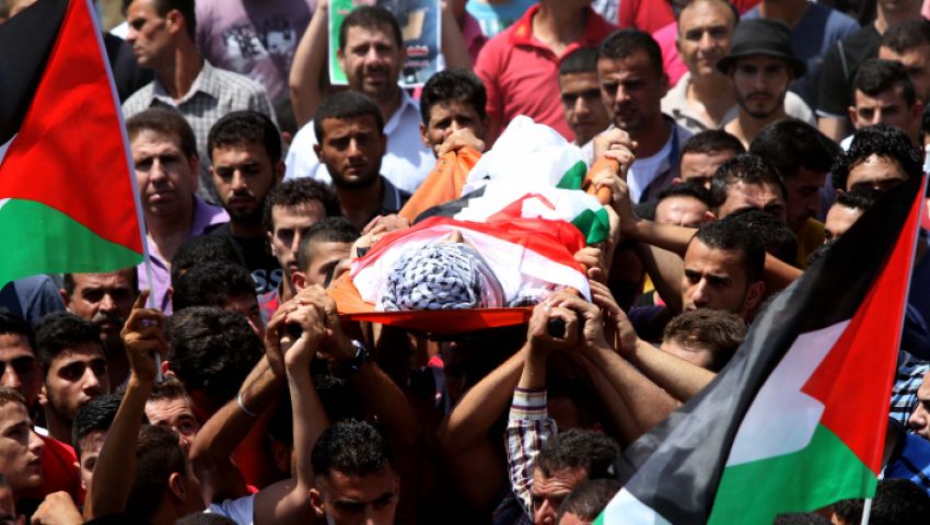 نوفمبر فلسطين.. 44 شهيدا ومصاردة للأراضي