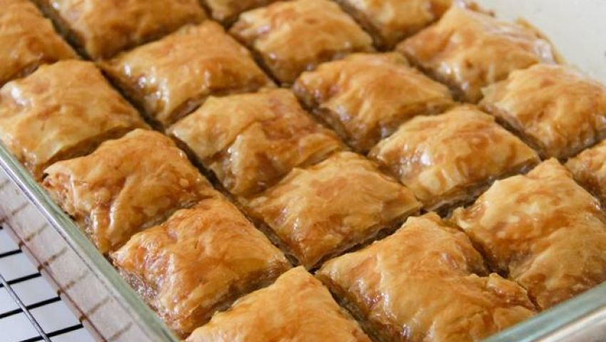 طريقة عمل الجلاش