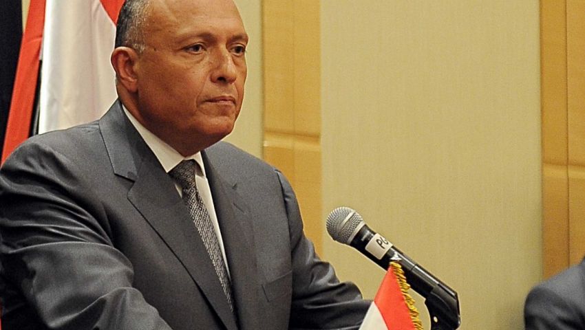 شكري يشارك في الاجتماع الثاني للمجموعة الدولية لدعم سوريا