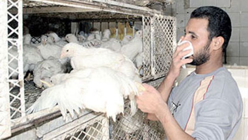 وفاة الحالة السادسة بإنفلونزا الطيور في أسيوط