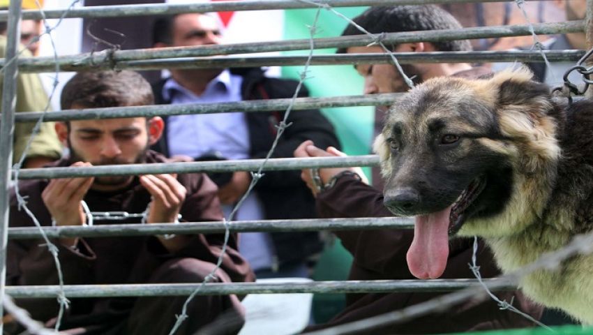 أعياد اليهود تلغي زيارات أهالي أسرى غزة