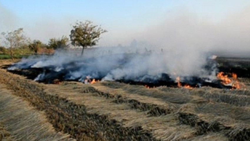 البيئة: نواصل إجراءات التصدي لنوبات تلوث الهواء بالمحافظات