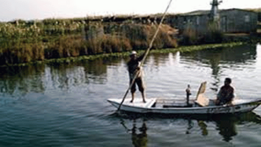 صيادو بحيرة مريوط يطالبون بتطهيرها