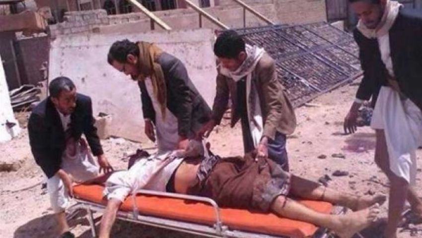اليمن.. القطط والكلاب تأكل جثث القتلى بمحافظة لحج