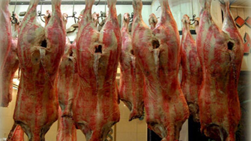 اعتصام رابعة أنهى تعاقدات استيراد لحوم سودانية