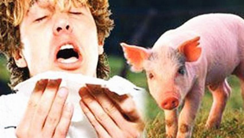 ضحية رابعة يشتبه في إصابتها بأنفلونزا الخنازير بالمنصورة