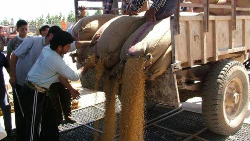 وصول 31 ألف طن قمح روسي للإسكندرية