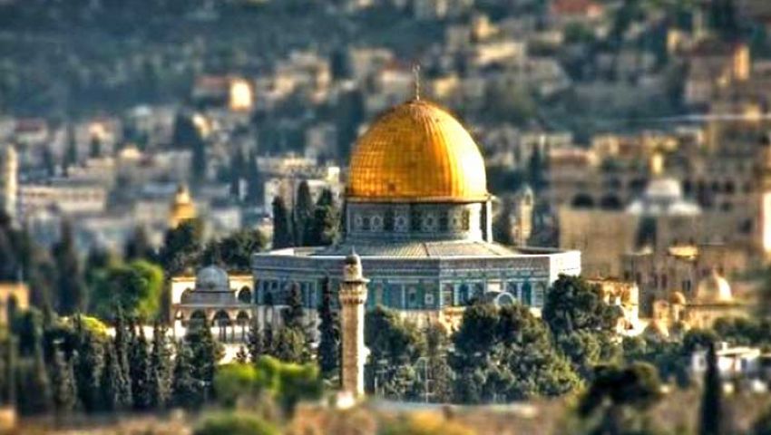 «القدس عربية».. عنوان مهرجان الإسكندرية السينمائي