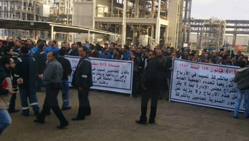 بدء إضراب عمال شركة في بورسعيد