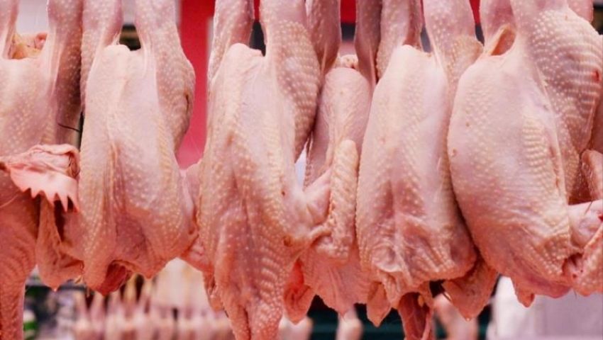 السعودية تحظر استيراد لحوم الدواجن من أوكرانيا.. تعرف على السبب