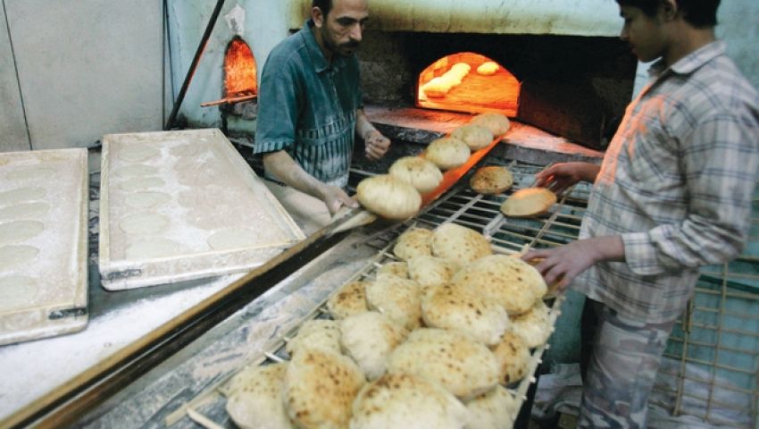 الخبز المدعم.. قش وخشب وأعقاب سجائر.. ومصيره للبهائم