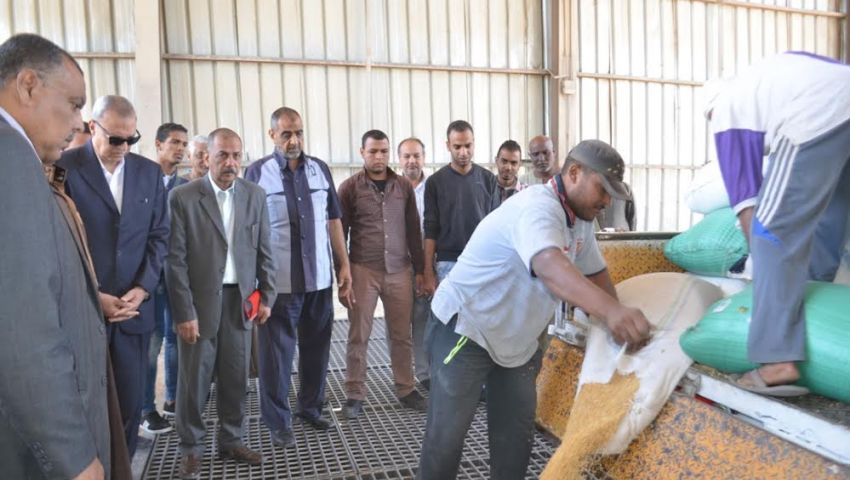 التموين : توريد 8 آلاف طن قمح بشون وصوامع قنا 