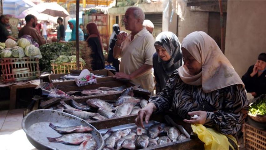 الغرف التجارية تقترح منع تصدير الأسماك لخفض  أسعارها