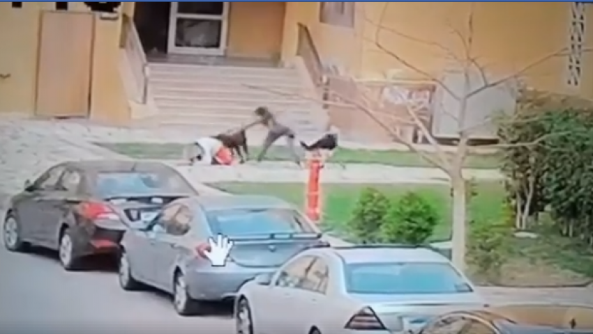 فيديو| كلاب تعقر طفلا بمدينتي.. وهكذا يرى القانون الواقعة  