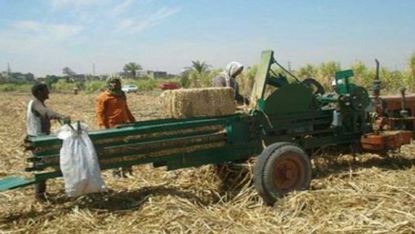شئون البيئة: تفعيل منظومة سفير القصب بأسوان