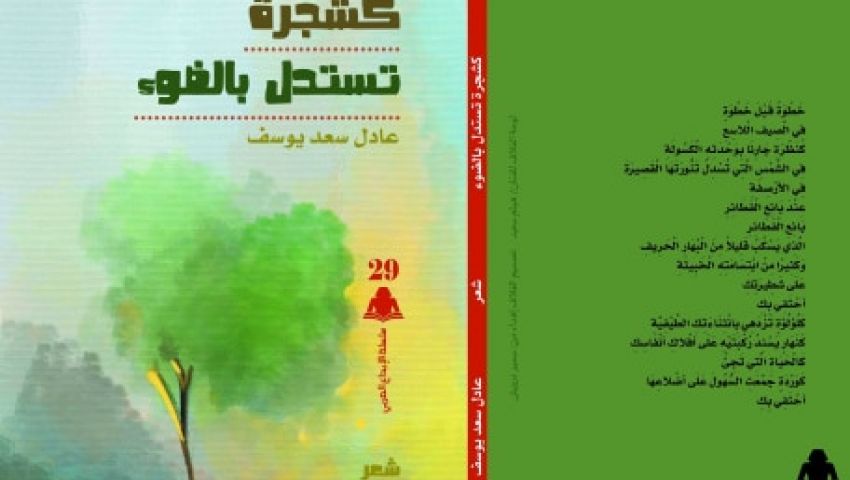 «كشجرة تستدل بالضوء» ديوان مفعم بالمشاعر الإنسانية.. ورسالة لحبيبته