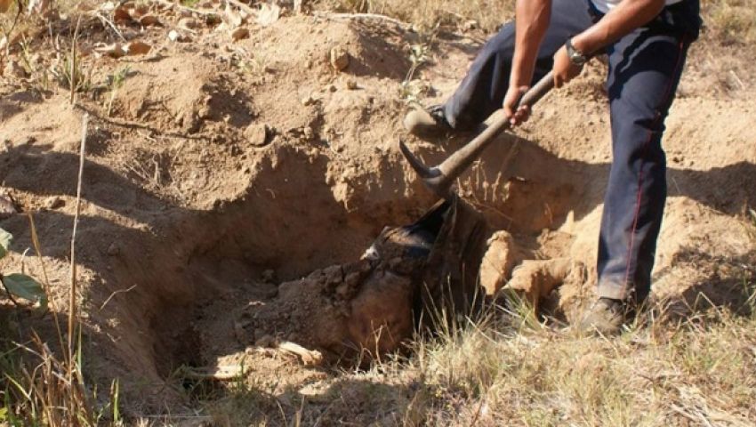العثور على مقبرة جماعية لضحايا «حرب المخدرات» بالمكسيك