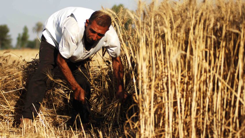 التعبئة والإحصاء:23.8% ارتفاع في القروض الممنوحة للفلاحين 