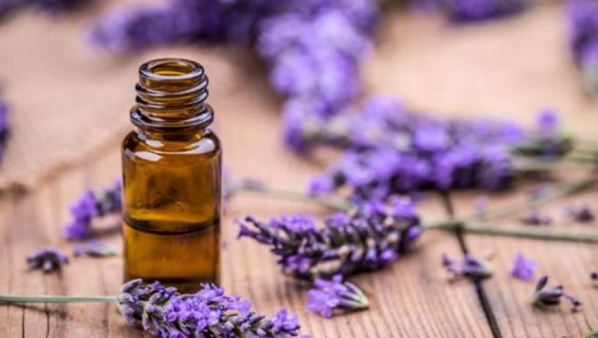بالأسماء.. أعشاب تعالج الاكتئاب