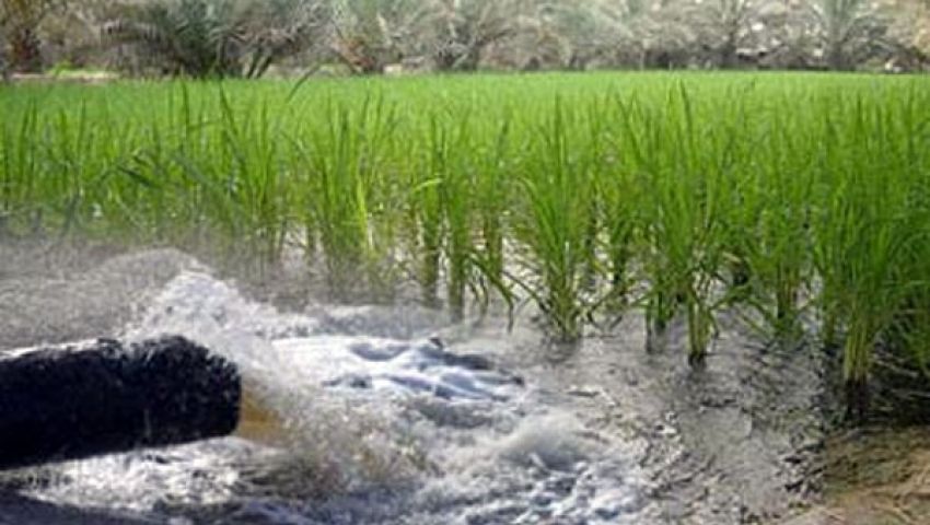 مصرع وإصابة 4 في مشاجرة على ري أراضٍ بالمنوفية
