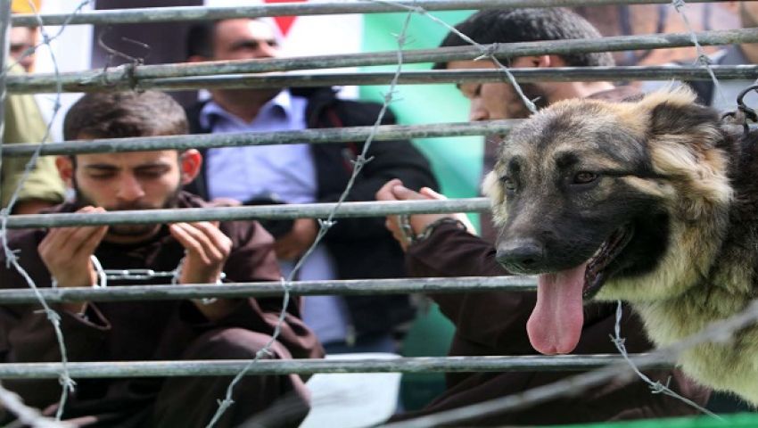 حماس: إسرائيل تنوي فرض التغذية القسرية على الأسرى المضربين