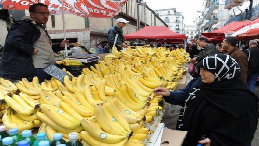 بعد ارتفاع أسعاره محلياً.. الجزائر تفتح باب استيراد الموز