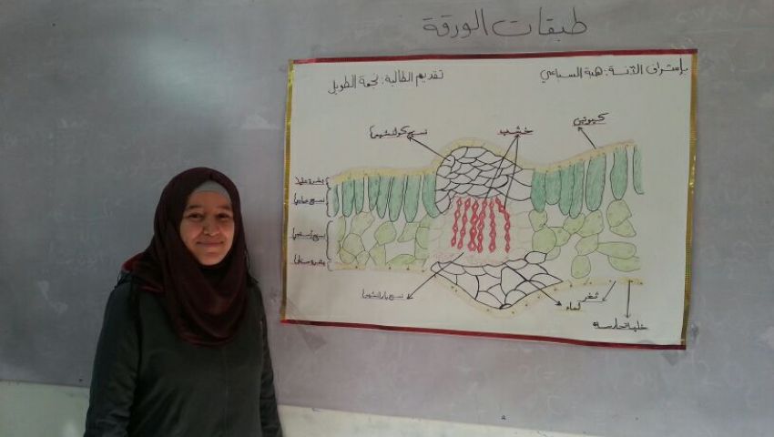«المدارس السورية».. مناهج مصرية بلهجة دمشقية