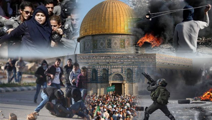 بالفيديو| مقاطعة البضائع الإسرائيلية .. سلاح الفلسطينيين لنصرة الأسرى