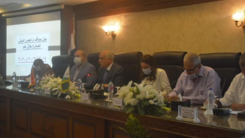 محافظ الجيزة يسمح باستئناف البناء حتى 4 أدوار.. وهذه الشروط
