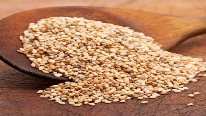 خطة للنهوص بزراعة السمسم.. هل تضيق فجوة إنتاج الزيوت بمصر؟