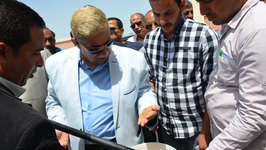 محافظ الإسماعيلية يشهد بدء حصاد وتوريد القمح بالقنطرة شرق