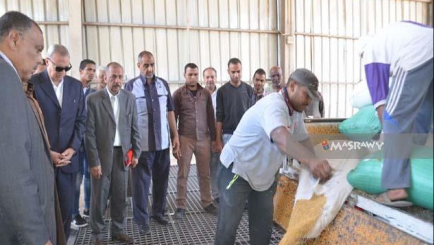 توريد 69 ألف طن قمح لشون وصوامع قنا