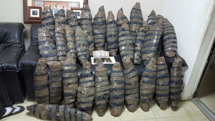 ضبط 300 كيلو بانجو داخل سيارة في المنيا