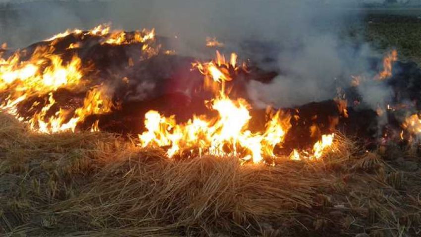 صور: بالأقمار الصناعية والإنذار المبكر.. البيئة ترصد حرائق قش الأرز  