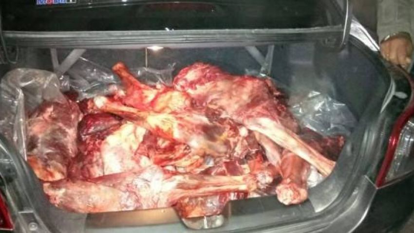 ضبط 600 كيلو «لحم حمير» قبل بيعها في الجيزة