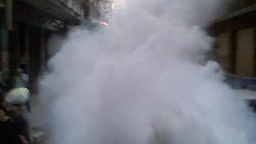 صور| أسراب البعوض تغزو الإسكندرية.. نصائح طبية للمصابين باللدغ