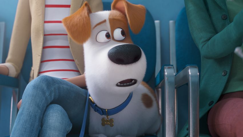 بهذه الإيرادات.. The Secret Life of Pets 2 يتصدر شباك التذاكر حول العالم