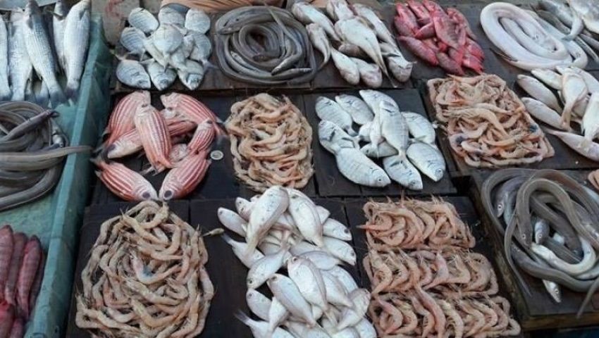 وقف تصدير الأسماك بعد قفزة في الأسعار