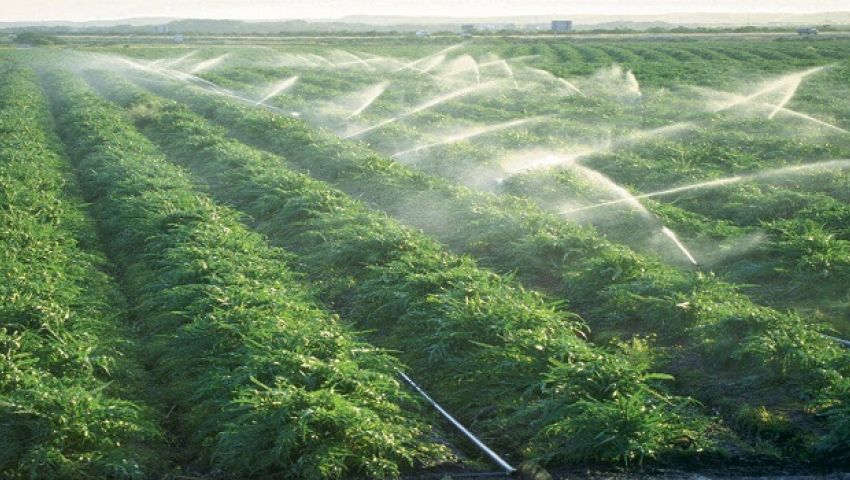 محافظ كفر الشيخ يبحث تطوير الري الحقلي مع وفد البنك الدولي