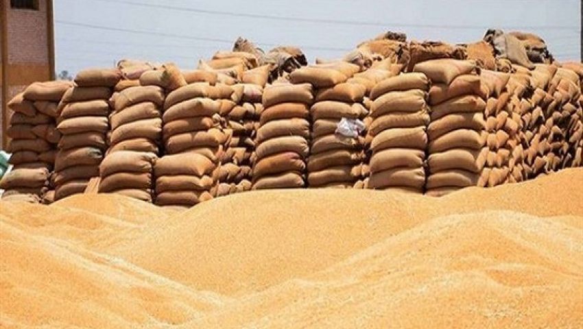 التموين ترفض استلام 2000 طن قمح غير مطابق للمواصفات