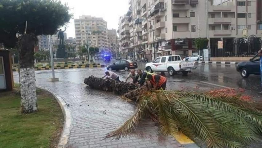 فيديو: انخفاض جديد.. تعرف على طقس الجمعة 15 نوفمبر