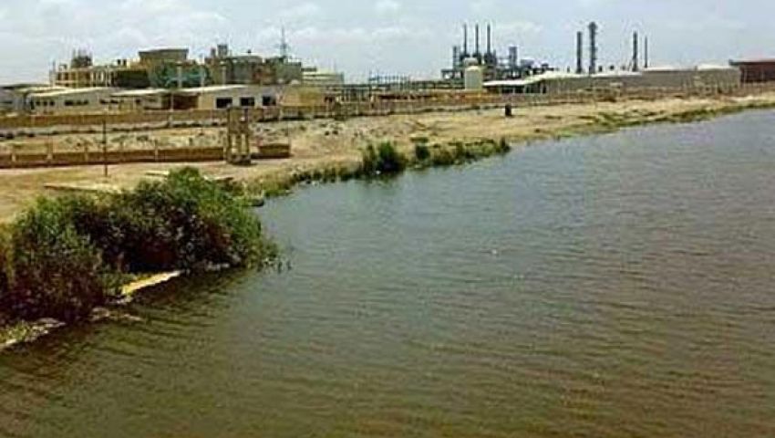 محافظ الإسكندرية يأمر بتشكيل لجنة فنية لحل مشاكل بحيرة مريوط