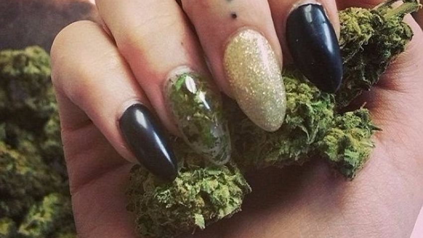 الأعشاب المخدرة الموضة الجديدة لطلاء الأظافر