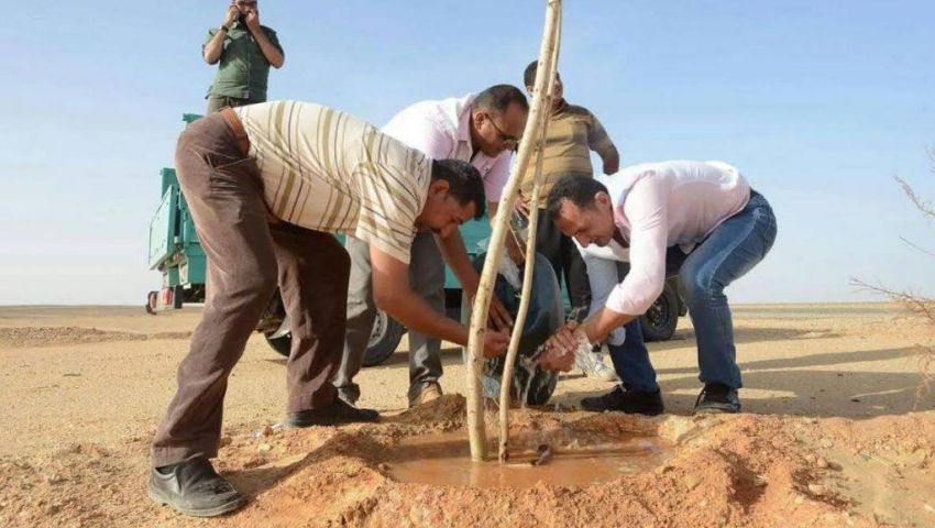 بالصور والمستندات|  1300 مستثمر يتهمون  الزراعة بالنصب