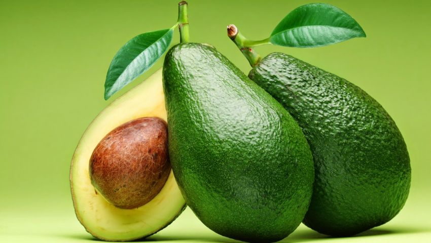 دراسة.. الأفوكادو يكافح أمراض السمنة والسكري والقلب